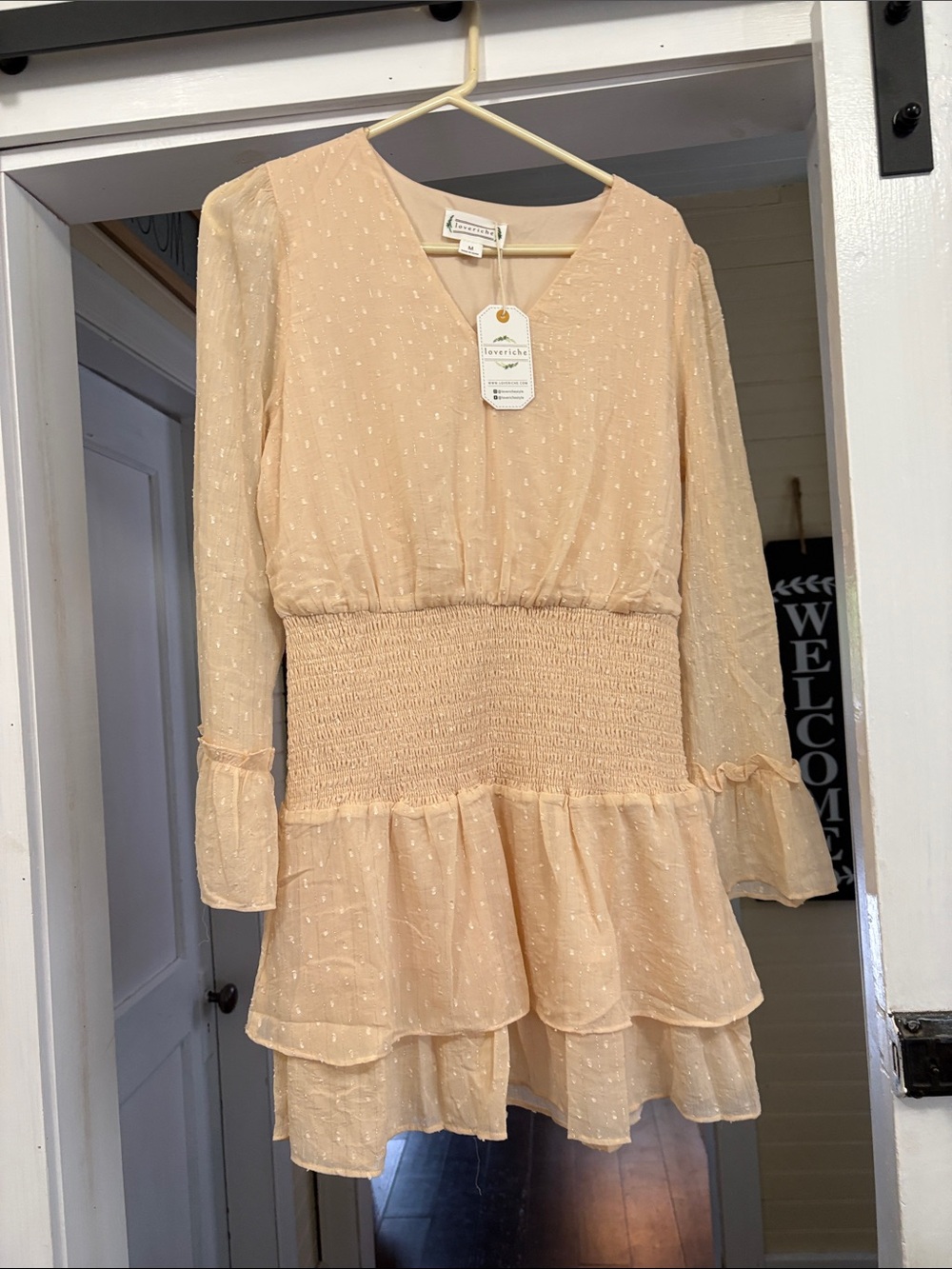 loveriche champagne Swiss Dot Tiered Dress sheer sleeves